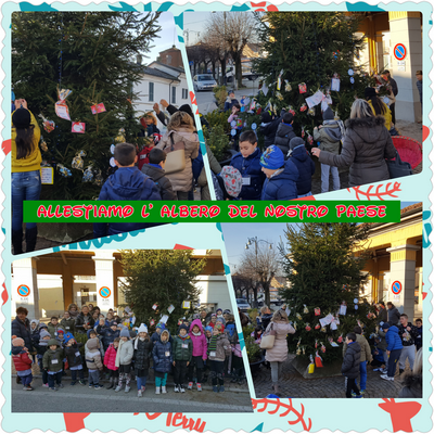 ALBERO DI STROPPIANA