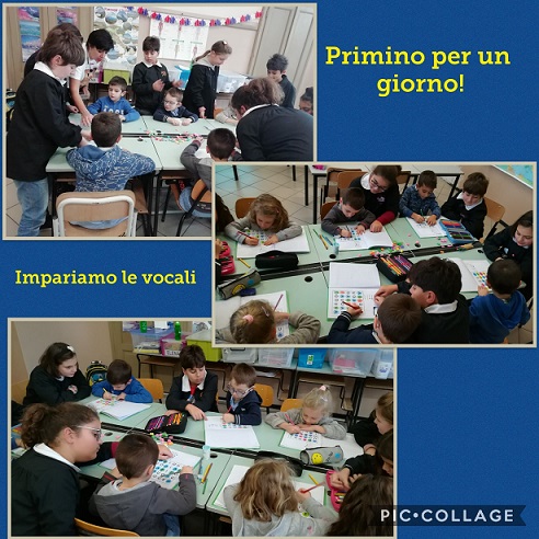 primino 1