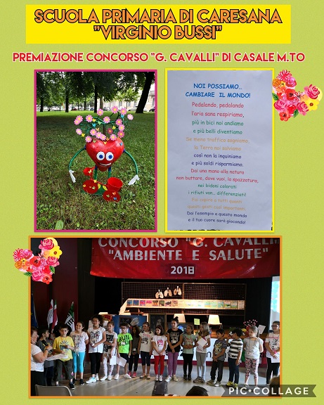 concorso cavalli