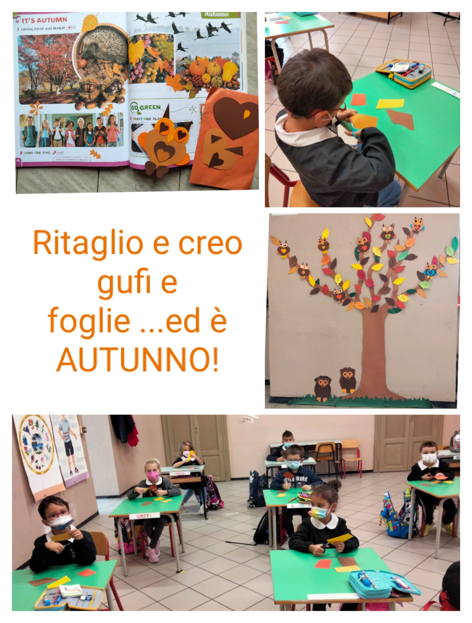 ritaglio autunno